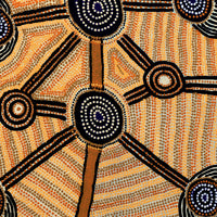 Aboriginal Artwork by Sam Tjapanangka George, Kalaya Tjukurrpa, 101x61