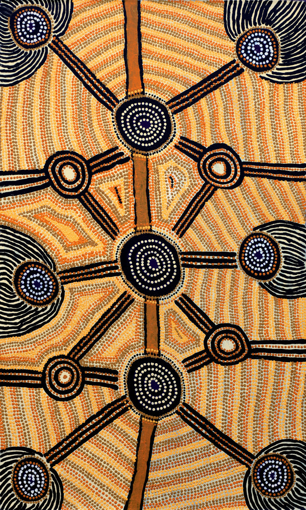 Aboriginal Artwork by Sam Tjapanangka George, Kalaya Tjukurrpa, 101x61
