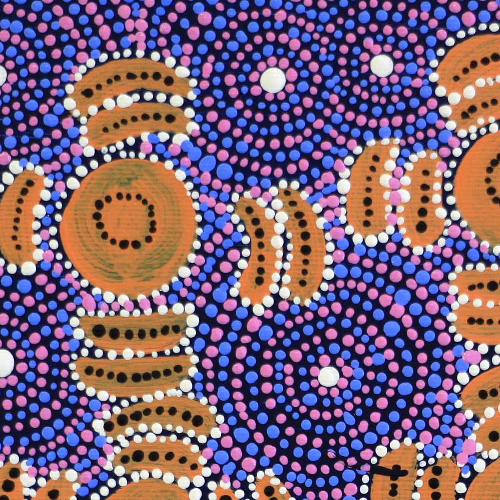Aboriginal Artwork by Samantha Napangardi Granites, Pirlarla Jukurrpa, 30x30cm