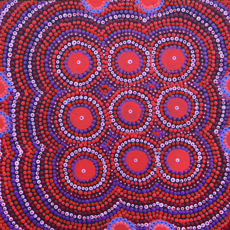 Aboriginal Artwork by Samantha Napangardi Granites, Pirlarla Jukurrpa (Dogwood Tree Bean Dreaming, 30x30cm