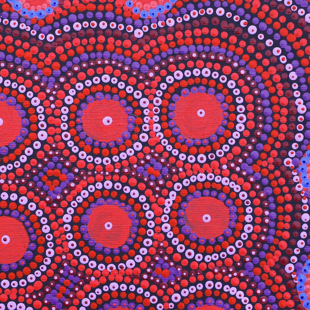 Aboriginal Artwork by Samantha Napangardi Granites, Pirlarla Jukurrpa (Dogwood Tree Bean Dreaming, 30x30cm