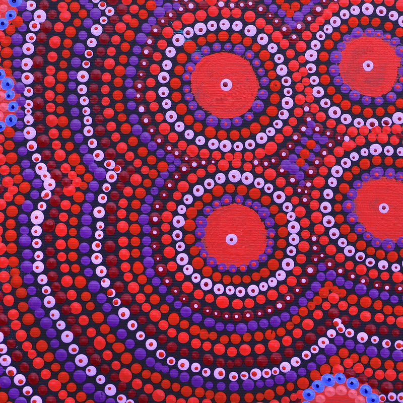 Aboriginal Artwork by Samantha Napangardi Granites, Pirlarla Jukurrpa (Dogwood Tree Bean Dreaming, 30x30cm