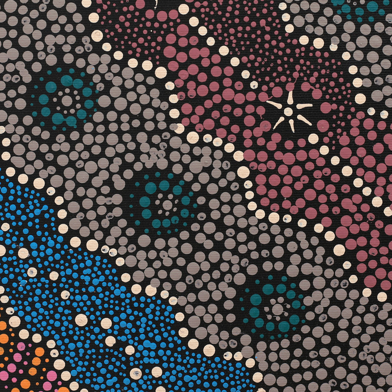 Aboriginal Artwork by Samara Napaljarri Dickson, Watiya-warnu Jukurrpa (Seed Dreaming), 30x30cm