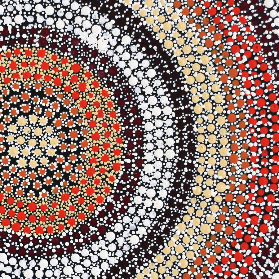 Aboriginal Artwork by Samara Napaljarri Dickson, Watiya-warnu Jukurrpa (Seed Dreaming), 30x30cm