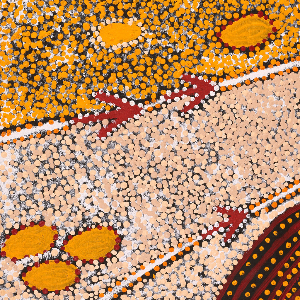 Aboriginal Artwork by Samuel Jampijinpa Collins, Yankirri Jukurrpa (Emu Dreaming), 91x46cm
