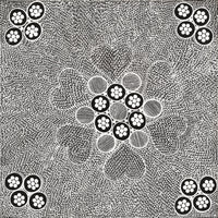 Aboriginal Artwork by Sandra Napanangka Frank, Lukarrara Jukurrpa, 46x46cm