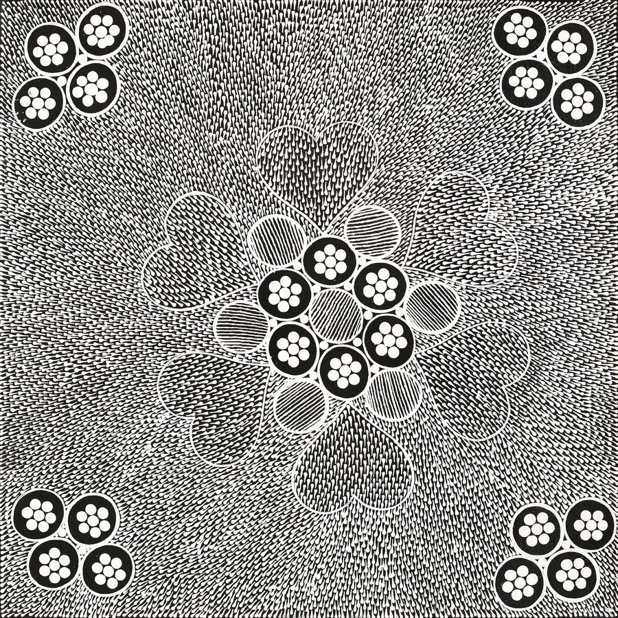 Aboriginal Artwork by Sandra Napanangka Frank, Lukarrara Jukurrpa, 46x46cm