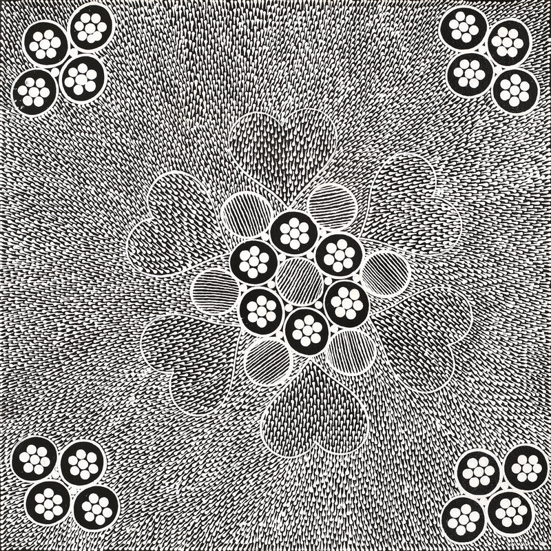 Aboriginal Artwork by Sandra Napanangka Frank, Lukarrara Jukurrpa, 46x46cm