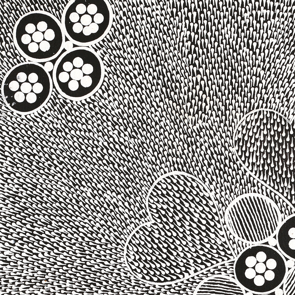 Aboriginal Artwork by Sandra Napanangka Frank, Lukarrara Jukurrpa, 46x46cm