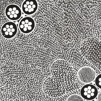 Aboriginal Artwork by Sandra Napanangka Frank, Lukarrara Jukurrpa, 46x46cm