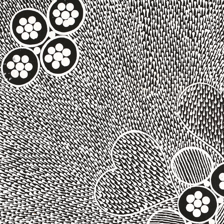 Aboriginal Artwork by Sandra Napanangka Frank, Lukarrara Jukurrpa, 46x46cm