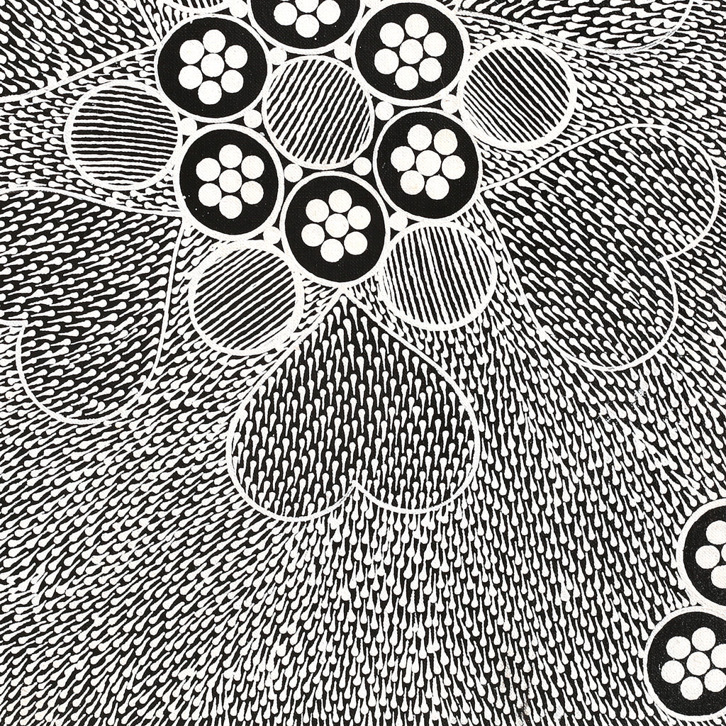 Aboriginal Artwork by Sandra Napanangka Frank, Lukarrara Jukurrpa, 46x46cm