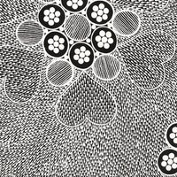 Aboriginal Artwork by Sandra Napanangka Frank, Lukarrara Jukurrpa, 46x46cm