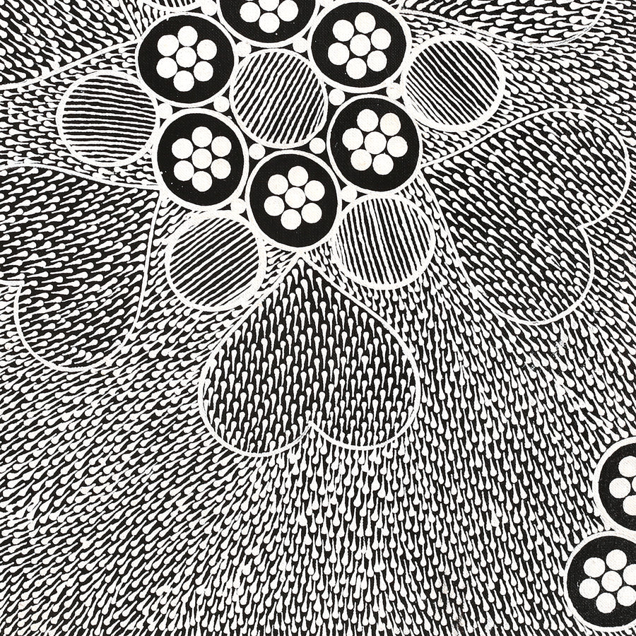Aboriginal Artwork by Sandra Napanangka Frank, Lukarrara Jukurrpa, 46x46cm
