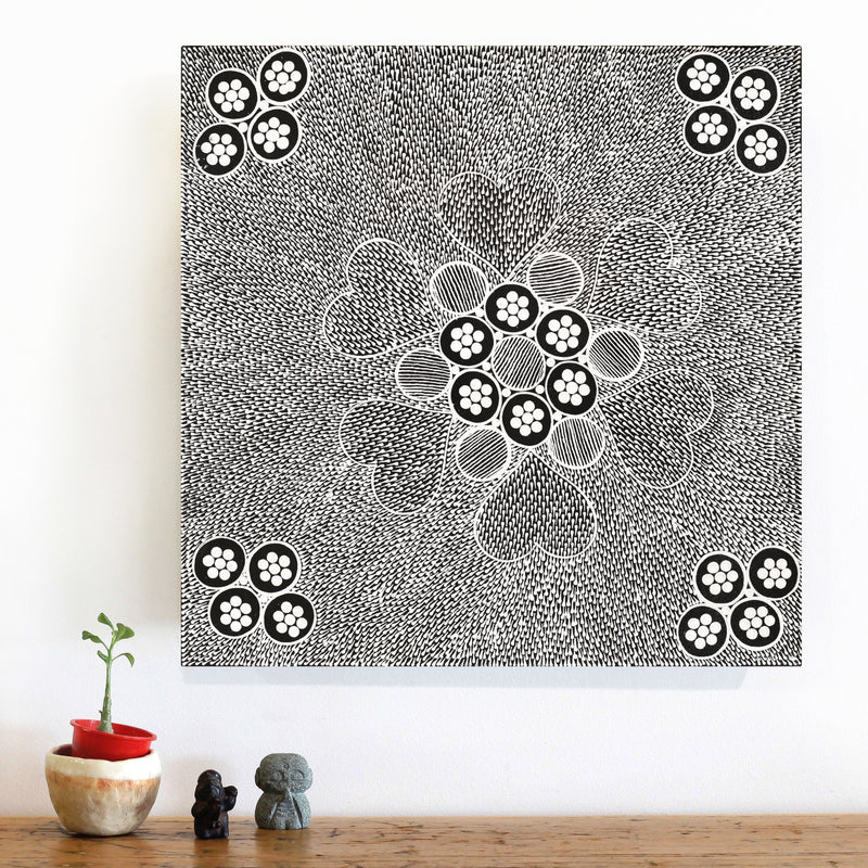 Aboriginal Artwork by Sandra Napanangka Frank, Lukarrara Jukurrpa, 46x46cm