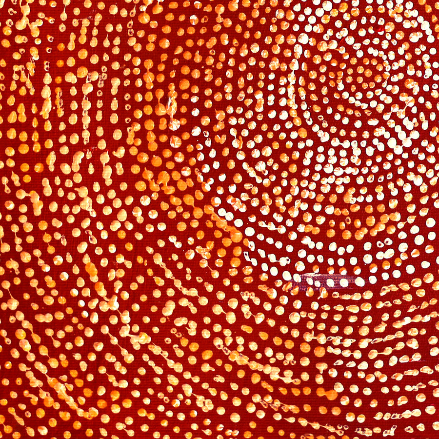 Aboriginal Artwork by Sarah Napurrurla Leo, Ngapa Jukurrpa (Water Dreaming), 30x30cm