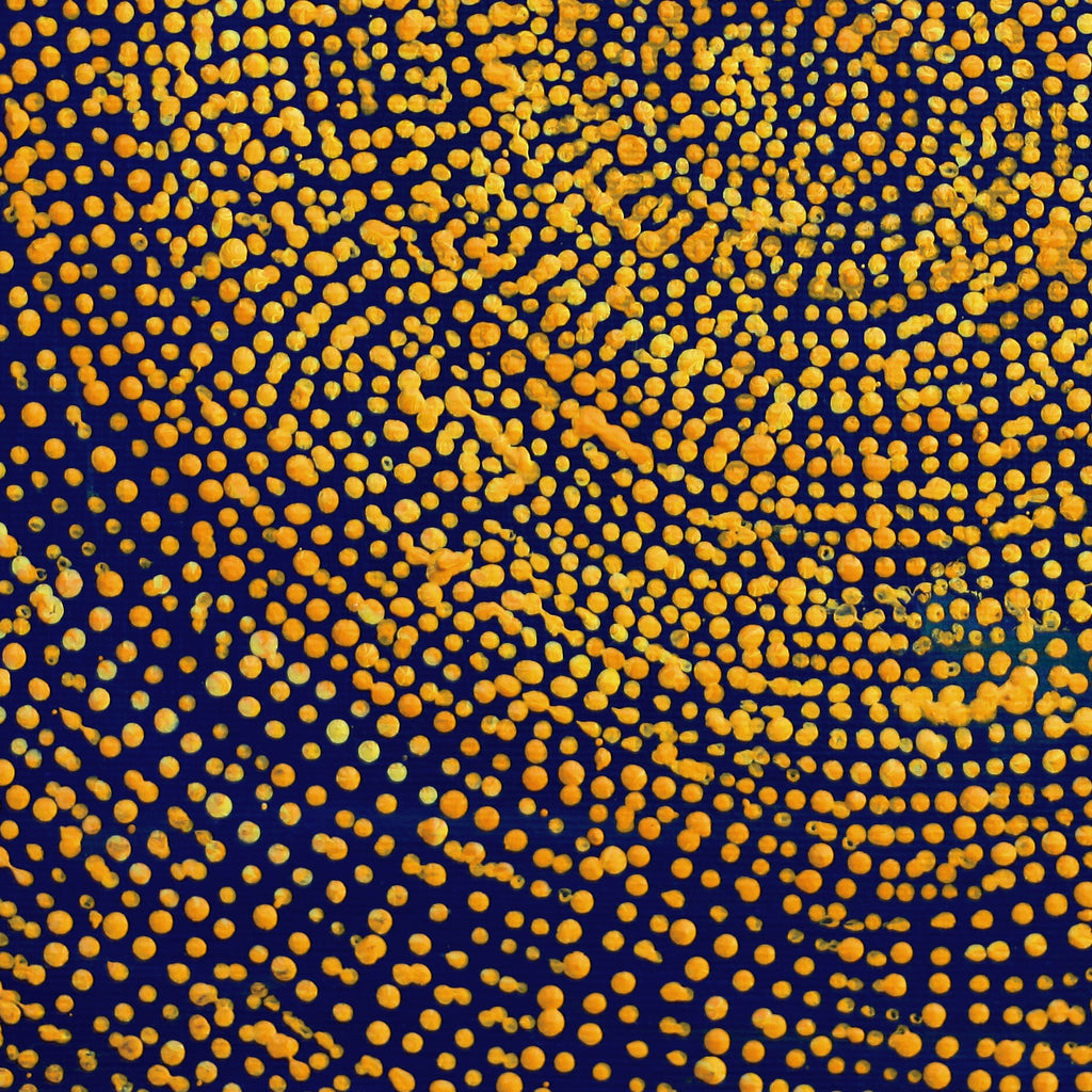 Aboriginal Artwork by Sarah Napurrurla Leo, Ngapa Jukurrpa (Water Dreaming), 30x30cm