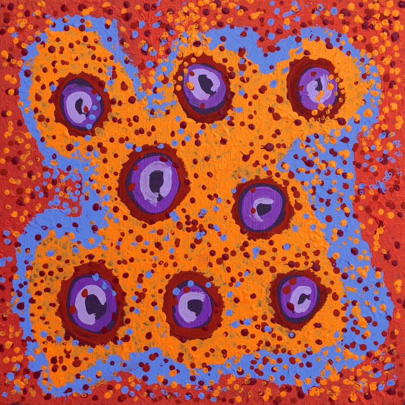 Aboriginal Artwork by Saraeva Napangardi Marshall, Mina Mina Jukurrpa - Ngalyipi, 30x30cm