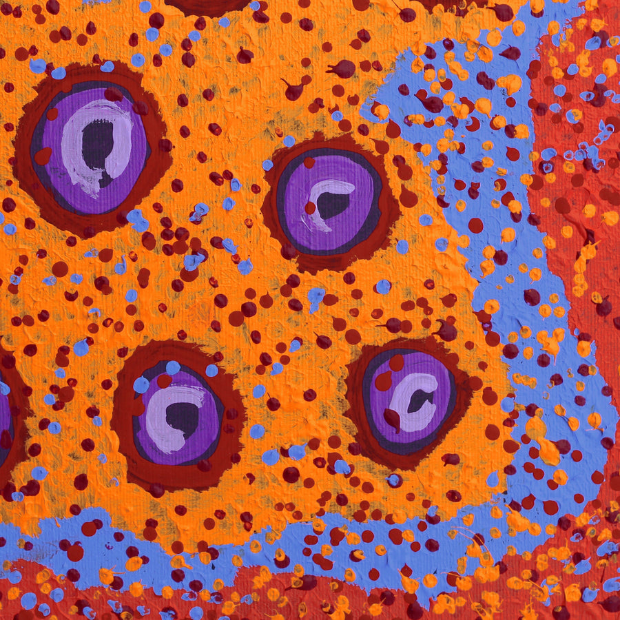 Aboriginal Artwork by Saraeva Napangardi Marshall, Mina Mina Jukurrpa - Ngalyipi, 30x30cm