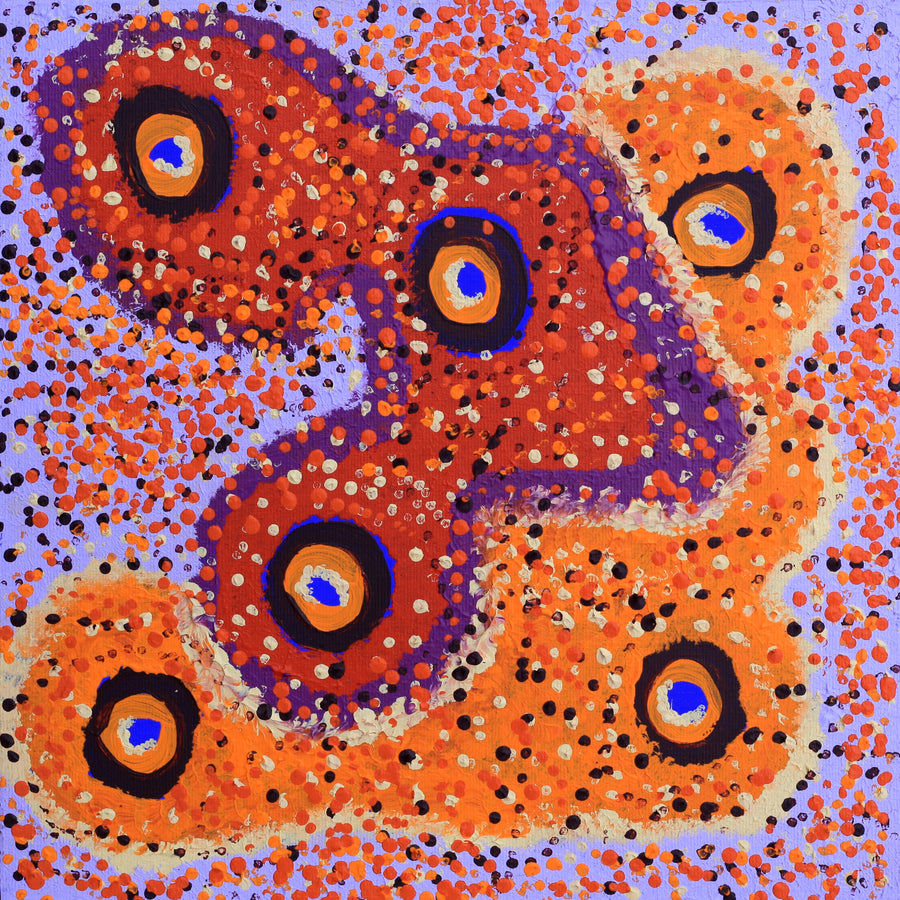 Aboriginal Artwork by Saraeva Napangardi Marshall, Mina Mina Jukurrpa - Ngalyipi, 30x30cm