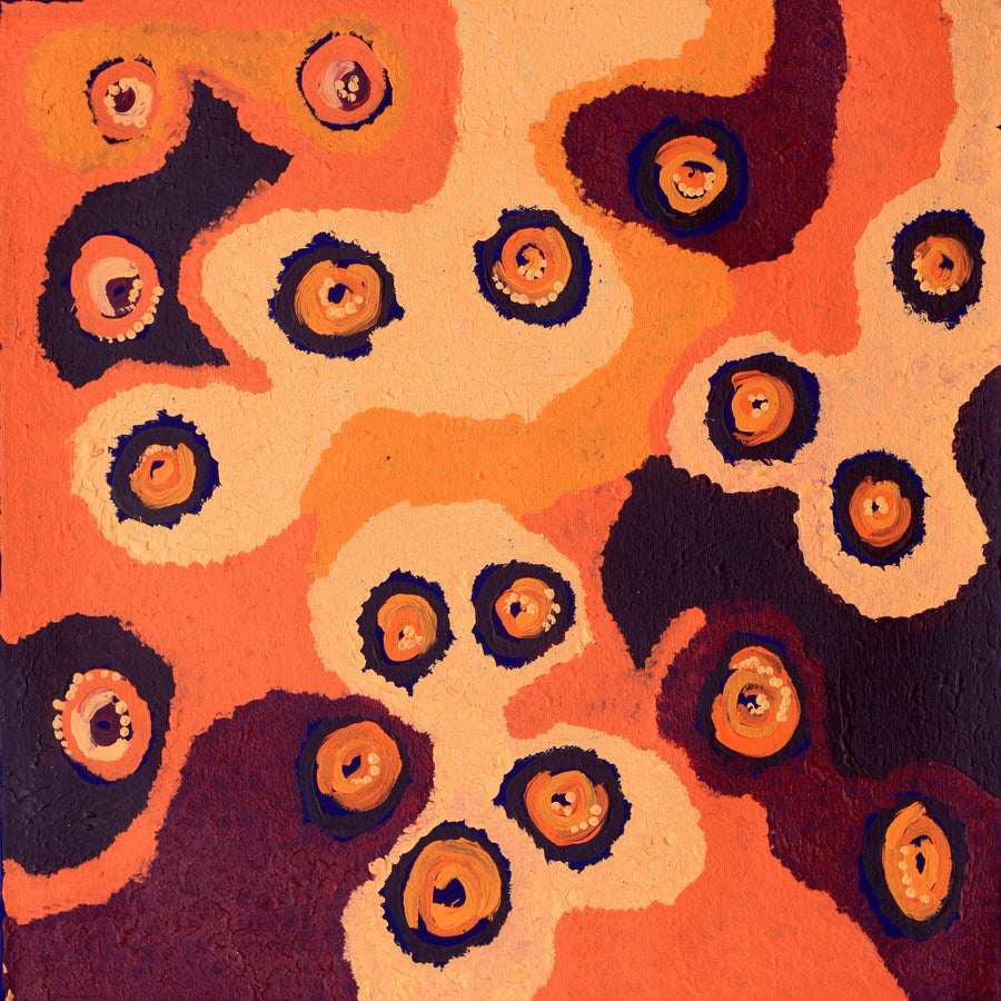 Aboriginal Artwork by Saraeva Napangardi Marshall, Mina Mina Dreaming - Ngalyipi, 46x46cm