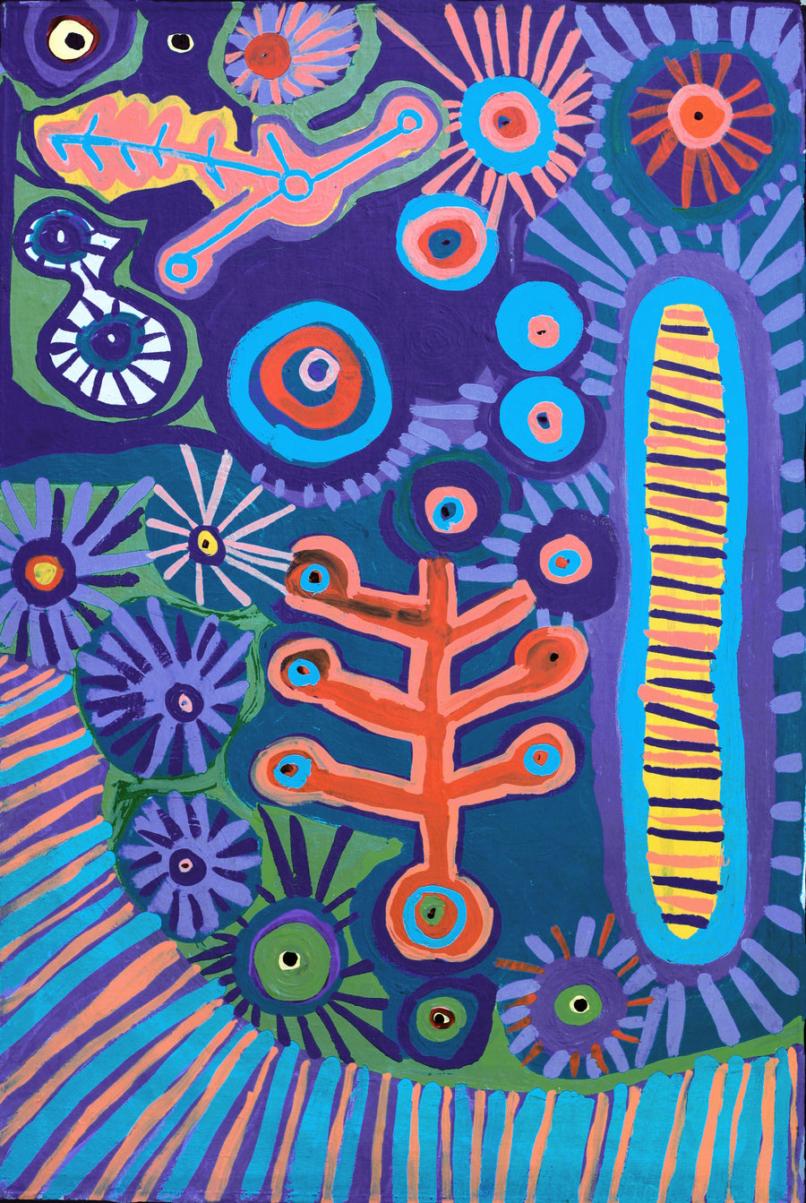 Aboriginal Artwork by Saraeva Napangardi Marshall, Mina Mina Dreaming - Ngalyipi, 91x61cm
