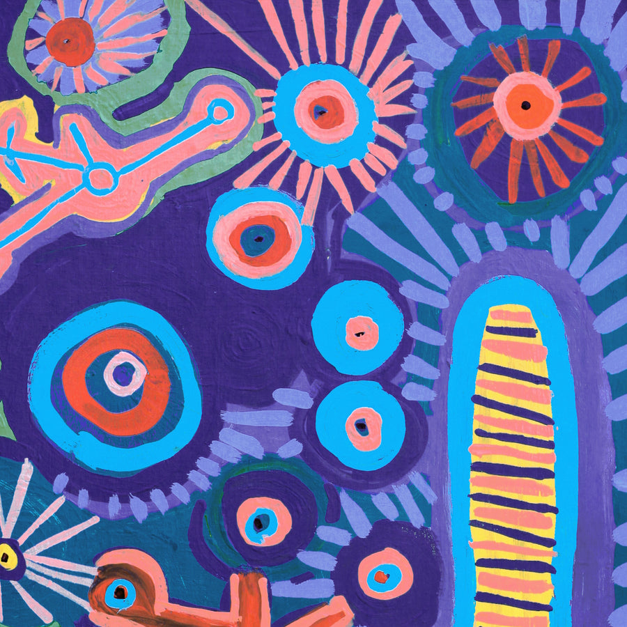 Aboriginal Artwork by Saraeva Napangardi Marshall, Mina Mina Dreaming - Ngalyipi, 91x61cm