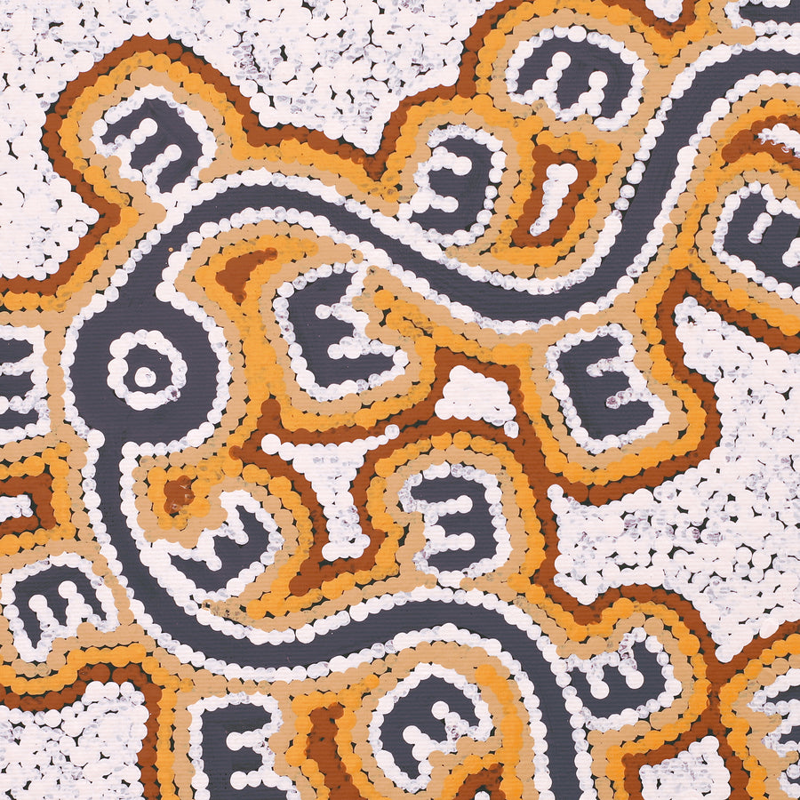 Aboriginal Artwork by Sarah-Jane Nampijinpa Singleton, (Brush-tail Possum Dreaming) - Mawurrji, 30x30cm