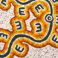 Aboriginal Artwork by Sarah-Jane Nampijinpa Singleton, Janganpa Jukurrpa (Brush-tail Possum Dreaming) - Mawurrji, 30x30cm