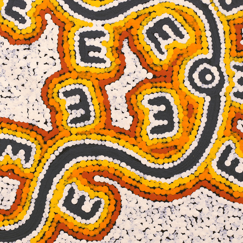 Aboriginal Artwork by Sarah-Jane Nampijinpa Singleton, Janganpa Jukurrpa (Brush-tail Possum Dreaming) - Mawurrji, 30x30cm