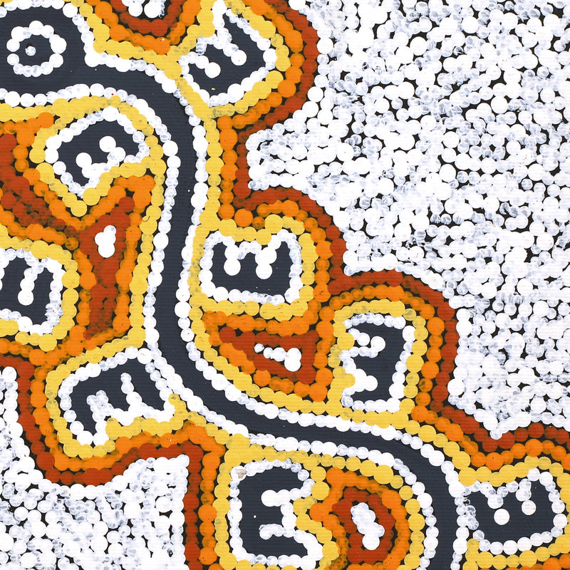 Aboriginal Artwork by Sarah-Jane Nampijinpa Singleton, (Brush-tail Possum Dreaming) - Mawurrji, 30x30cm