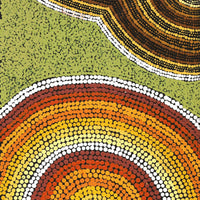 Aboriginal Artwork by Sarah-Jane Nampijinpa Singleton, Yankirri Jukurrpa (Emu Dreaming) - Ngarlikirlangu, 152x30cm