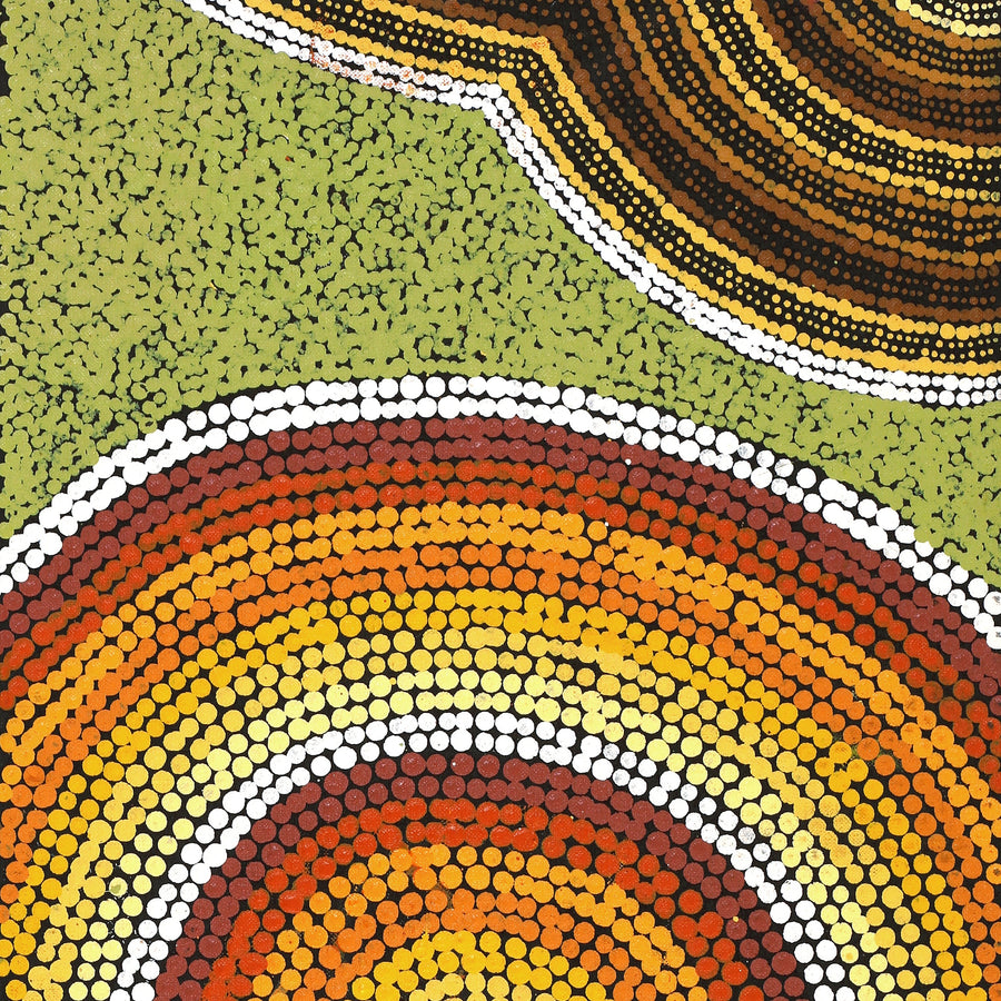 Aboriginal Artwork by Sarah-Jane Nampijinpa Singleton, Yankirri Jukurrpa (Emu Dreaming) - Ngarlikirlangu, 152x30cm