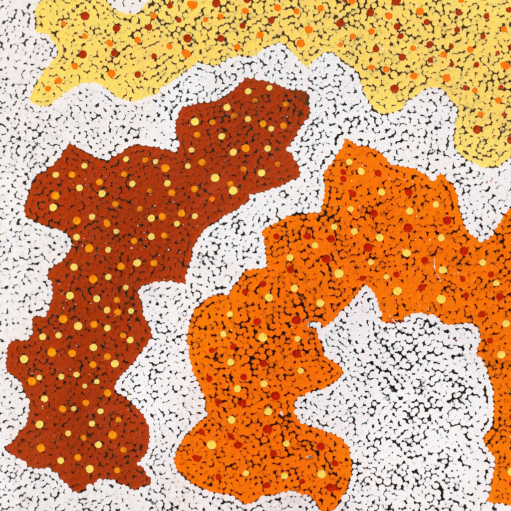 Aboriginal Artwork by Sarah-Jane Nampijinpa Singleton, Yankirri Jukurrpa (Emu Dreaming) - Ngarlikirlangu, 76x46cm
