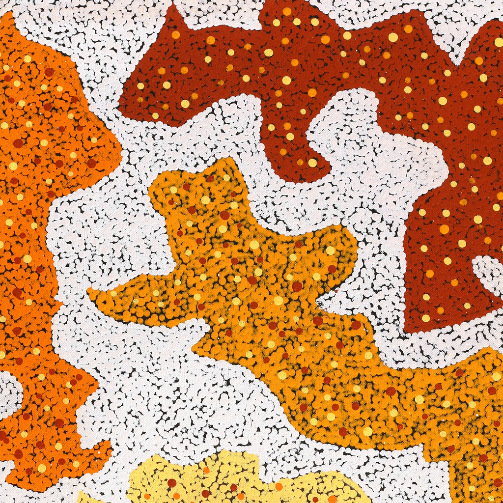 Aboriginal Artwork by Sarah-Jane Nampijinpa Singleton, Yankirri Jukurrpa (Emu Dreaming) - Ngarlikirlangu, 76x46cm