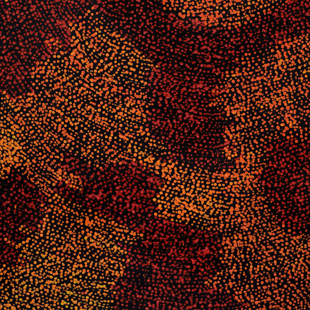 Aboriginal Artwork by Sarah Napurrurla Leo, Ngapa Jukurrpa (Water Dreaming) - Puyurru, 107x46cm