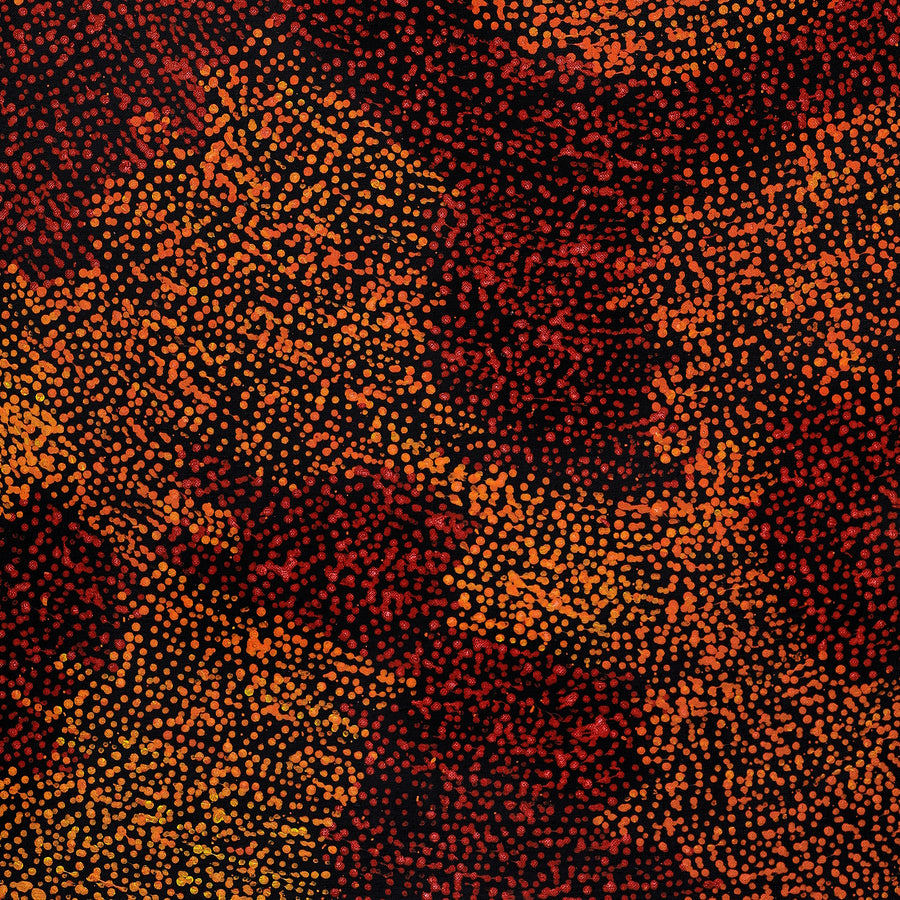 Aboriginal Artwork by Sarah Napurrurla Leo, Ngapa Jukurrpa (Water Dreaming) - Puyurru, 107x46cm