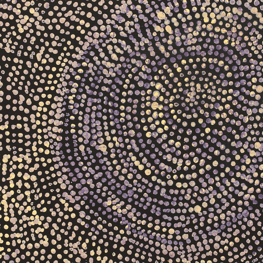 Aboriginal Artwork by Sarah Napurrurla Leo, Ngapa Jukurrpa (Water Dreaming) - Puyurru, 30x30cm