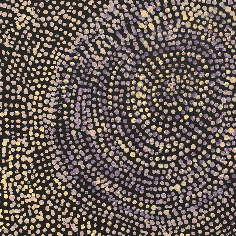 Aboriginal Artwork by Sarah Napurrurla Leo, Ngapa Jukurrpa (Water Dreaming) - Puyurru, 30x30cm