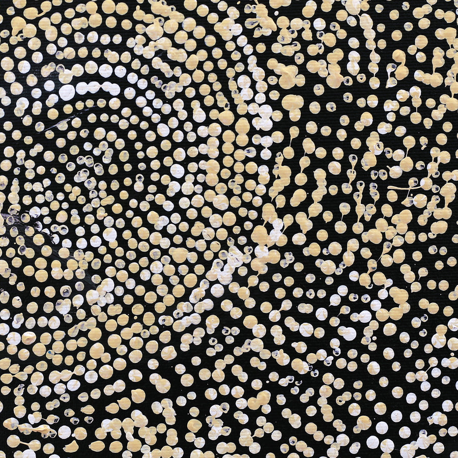 Aboriginal Artwork by Sarah Napurrurla Leo, Ngapa Jukurrpa (Water Dreaming) - Puyurru, 30x30cm
