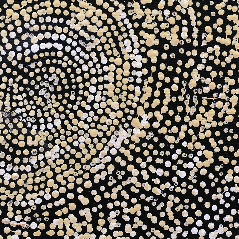 Aboriginal Artwork by Sarah Napurrurla Leo, Ngapa Jukurrpa (Water Dreaming) - Puyurru, 30x30cm