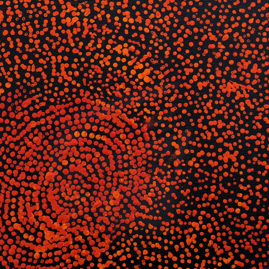 Aboriginal Artwork by Sarah Napurrurla Leo, Ngapa Jukurrpa (Water Dreaming) - Puyurru, 30x30cm