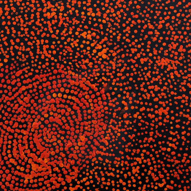 Aboriginal Artwork by Sarah Napurrurla Leo, Ngapa Jukurrpa (Water Dreaming) - Puyurru, 30x30cm