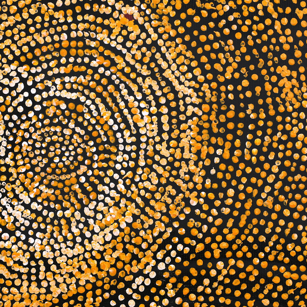 Aboriginal Artwork by Sarah Napurrurla Leo, Ngapa Jukurrpa (Water Dreaming) - Puyurru, 30x30cm