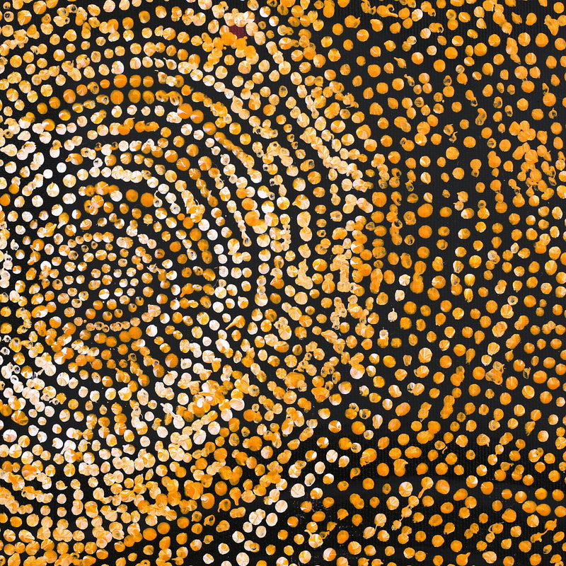 Aboriginal Artwork by Sarah Napurrurla Leo, Ngapa Jukurrpa (Water Dreaming) - Puyurru, 30x30cm