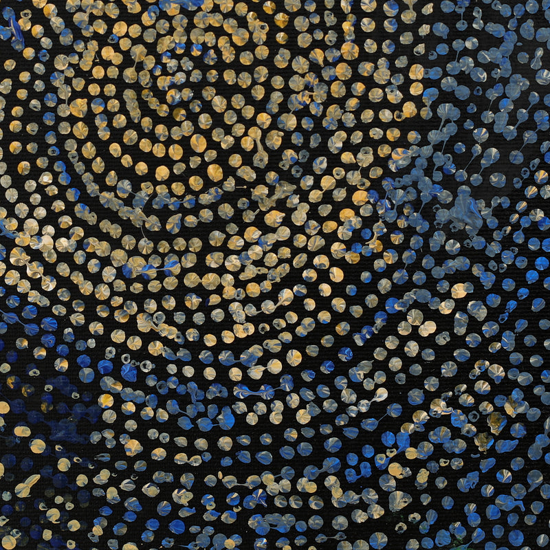 Aboriginal Artwork by Sarah Napurrurla Leo, Ngapa Jukurrpa (Water Dreaming) - Puyurru, 30x30cm