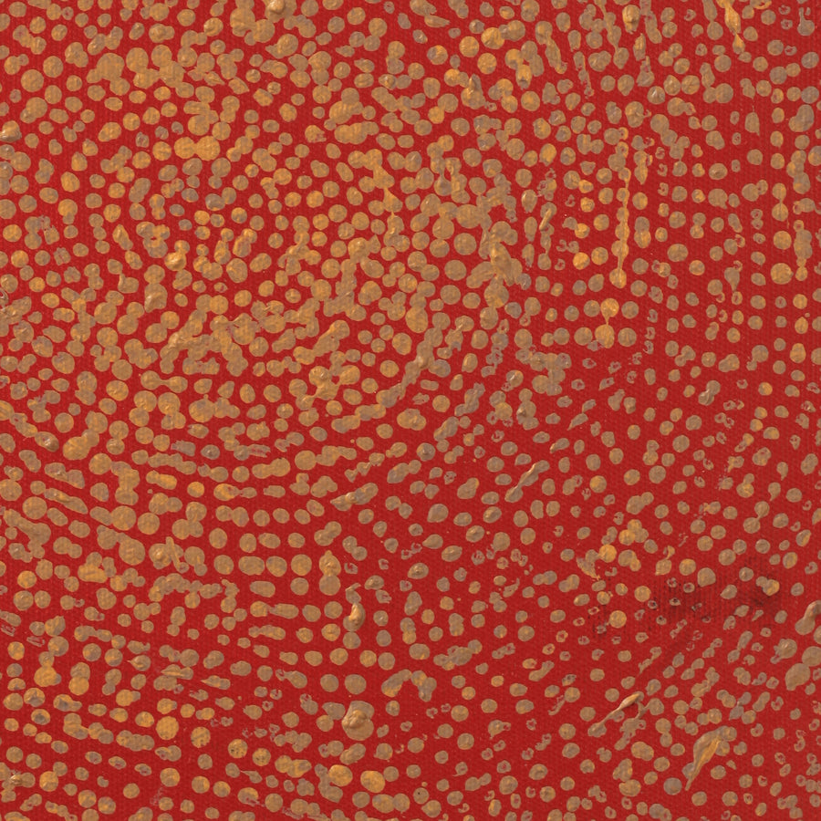 Aboriginal Artwork by Sarah Napurrurla Leo, Ngapa Jukurrpa (Water Dreaming), 30x30cm
