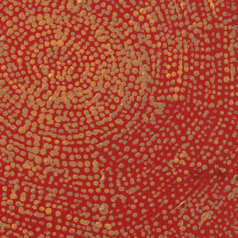 Aboriginal Artwork by Sarah Napurrurla Leo, Ngapa Jukurrpa (Water Dreaming), 30x30cm