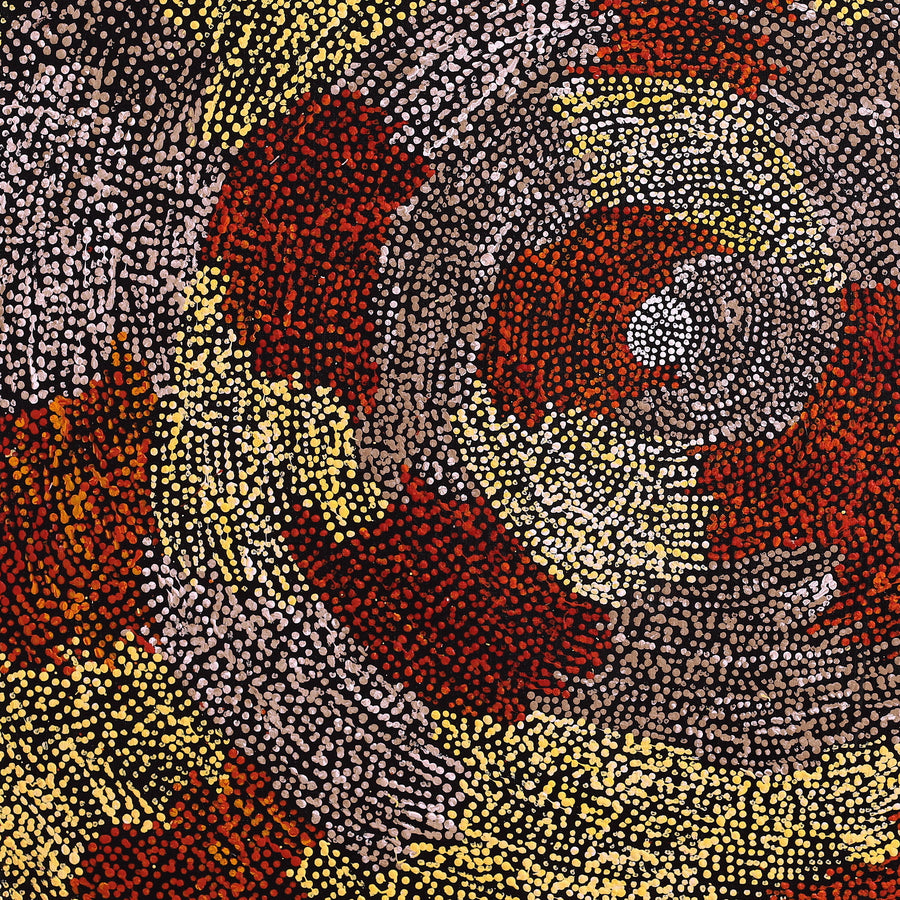 Aboriginal Artwork by Sarah Napurrurla Leo, Ngapa Jukurrpa (Water Dreaming) - Puyurru, 76x76cm