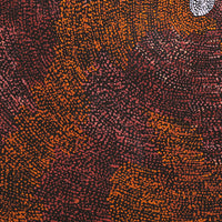 Aboriginal Artwork by Sarah Napurrurla Leo, Ngapa Jukurrpa (Water Dreaming) - Puyurru, 76x76cm